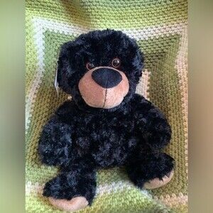 Brown University bear. New with tags, dark black bear with tan on feet. #Ivy Day